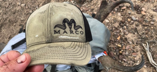 Logo Wear