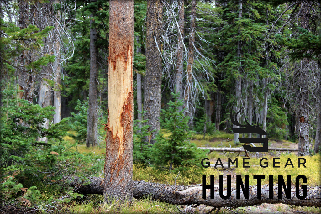 Big Game Hunting and Hunting Gear